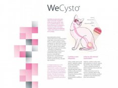 WeCysto - vyvinuté na podporu močového ústrojí