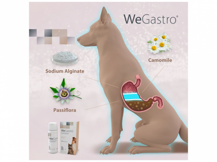 WeGastro - ochrana žaludku a úleva při potížích