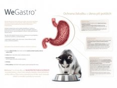 WeGastro - ochrana žaludku a úleva při potížích