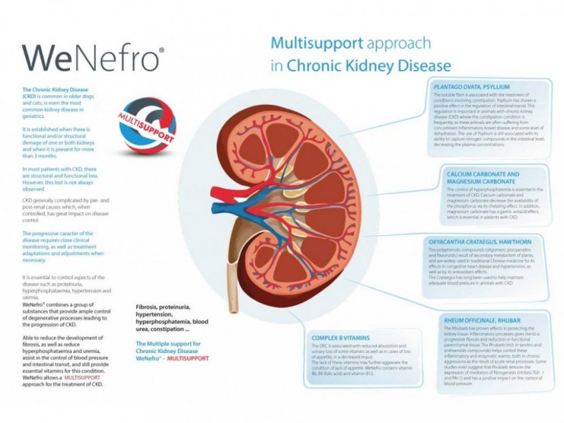 WeNefro - podporuje funkci ledvin - Gramáž: 250 ml